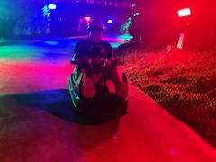 -圣淘沙天际线斜坡滑车