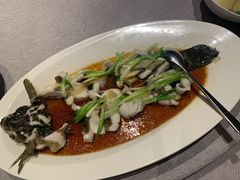 清蒸老虎斑-三利音·东方司宴(外滩店)
