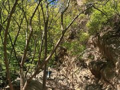 -大岭沟猕猴桃谷风景区