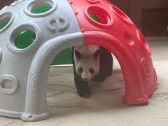 -杭州野生动物世界