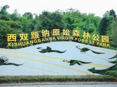 -西双版纳原始森林公园