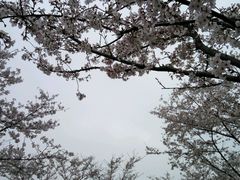 -北京稻香村(第三店)