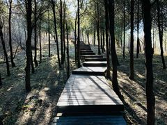 -北京十三陵国家森林公园蟒山景区