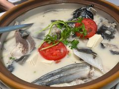 -全乐鱼馆·淳牌有机鱼直营店