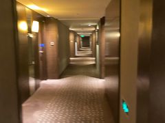 -北京希尔顿逸林酒店