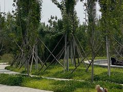 -绿堤公园