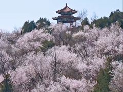 -白水寺森林公园