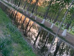 -东郊湿地公园