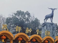 -成都动物园