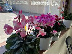 -满月蛋糕定制·商务茶歇·diy课程(万达广场店)