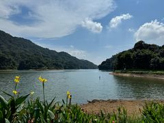 -广州市石门国家森林公园