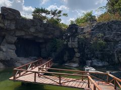 -上海吴淞炮台湾国家湿地公园