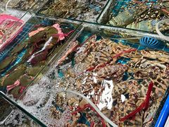 -鸿港海鲜批发市场