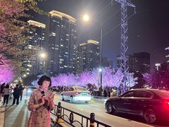 -西北湖绿化广场