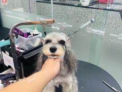 -宠物家(长阳店)