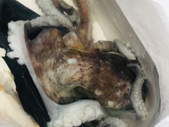 -鸿港海鲜批发市场