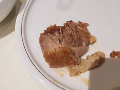 -丁老爷子苏香圆