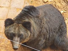 -昆明动物园