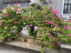 -杰爱月子护理中心