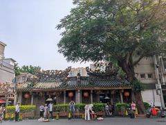 -老妈宫粽球
