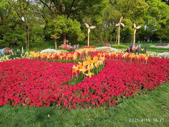 -上海共青森林公园