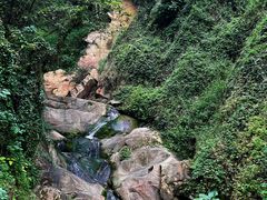 -南山植物园