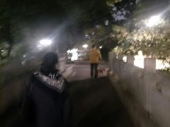 -光明港公园