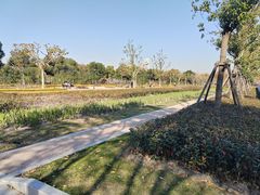 -上海山野camping·户外天幕烧烤·团建拓展营地