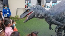 -恐龙探索乐园(磁器口店)