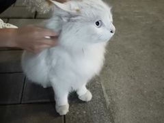 -哈根达斯(天河城店)