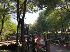 -溱湖国家湿地公园