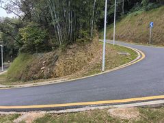 -黄埔油麻山森林公园
