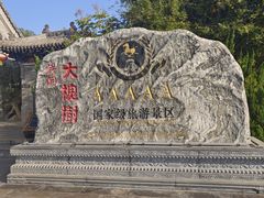 -大槐树寻根祭祖园