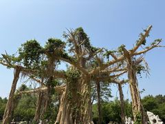 -石家庄市植物园