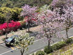 -小南山公园
