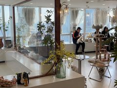 -共舞时光猫咖·狗咖(新街口店)