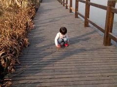 -艾溪湖湿地公园