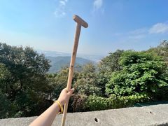 -惠山国家森林公园