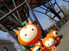 -上海长兴岛郊野公园