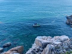 -广东惠东海龟国家级自然保护区
