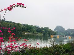 -星湖旅游景区七星岩