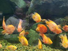 -苏州海洋馆
