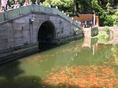 -普陀山风景名胜区-法雨禅寺