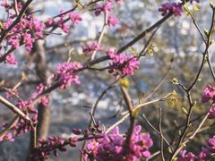 -天台山赤城山景区