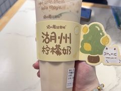 -猫的魔法密林(衣裳街店)
