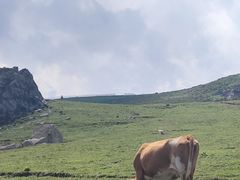 -灵山