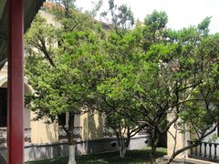 -南京中国近代史遗址博物馆(南京总统府)