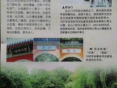 -灵谷景区