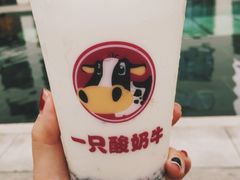 -一只酸奶牛(来福士店)