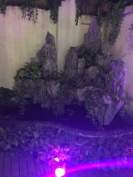 -素颜秀·纹眉·野生眉·纹唇半永久